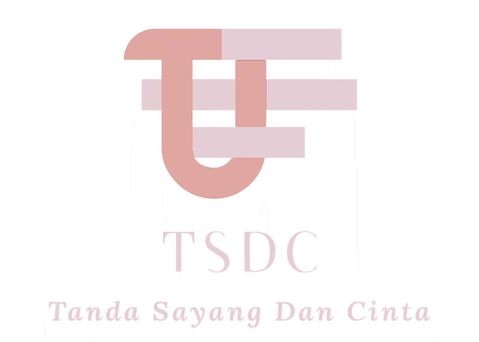 Tsdcstore